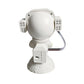Bluetooth Music Astronaut Galaxy Projector Star Night Light Nebula Projector