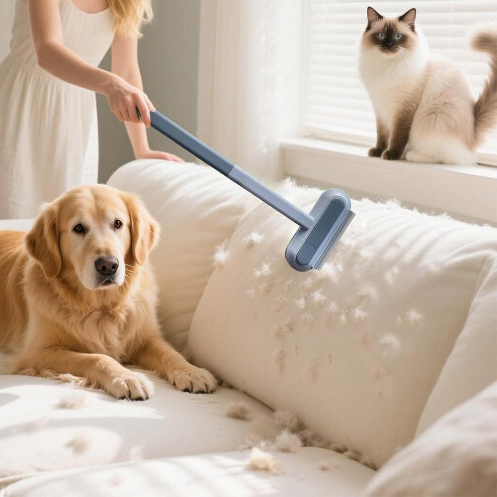 Pet Hair Remover Reusable Lint Brush for Furniture Carpet