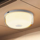 Rechargeable Waterproof Shower Light with 12 RGB Colors Remote and Timer