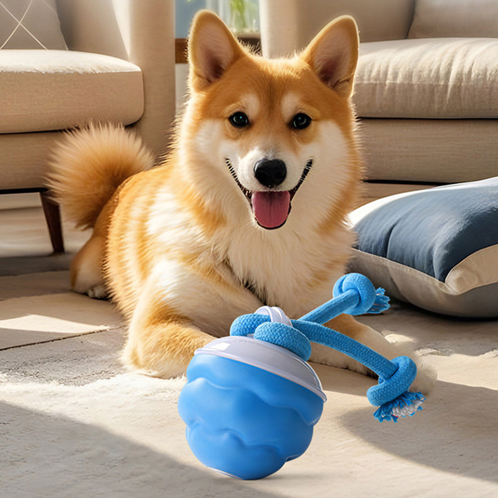 Interactive Dog Toys with Motion Activated Active Rolling Ball Wicked Ball