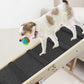 Foldable Adjustable Dog Ramp for Couch and Bed with Non-Slip Carpet Surface