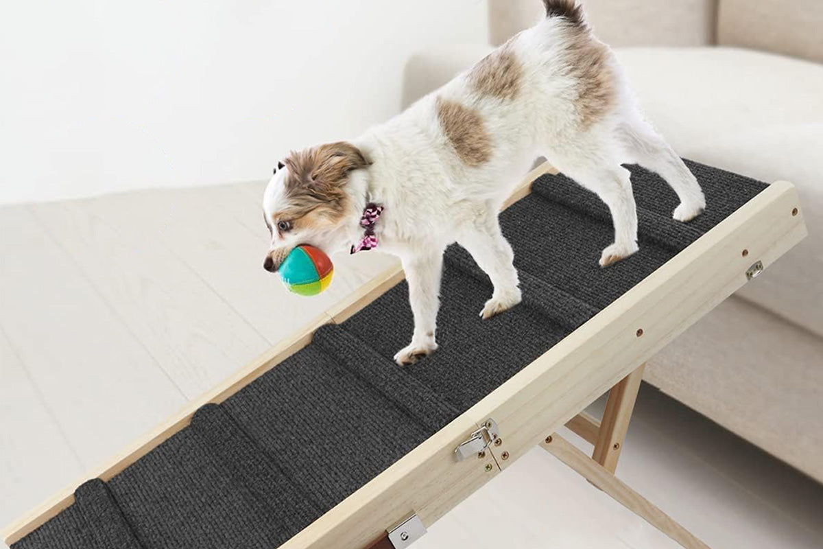 Foldable Adjustable Dog Ramp for Couch and Bed with Non-Slip Carpet Surface