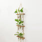 3 Tiered Wall Hanging Terrarium With Wooden Stand Hanging Tube Glass Vases