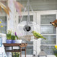 Smart WiFi Bird Feeder with 720P Camera for Real-Time Monitoring