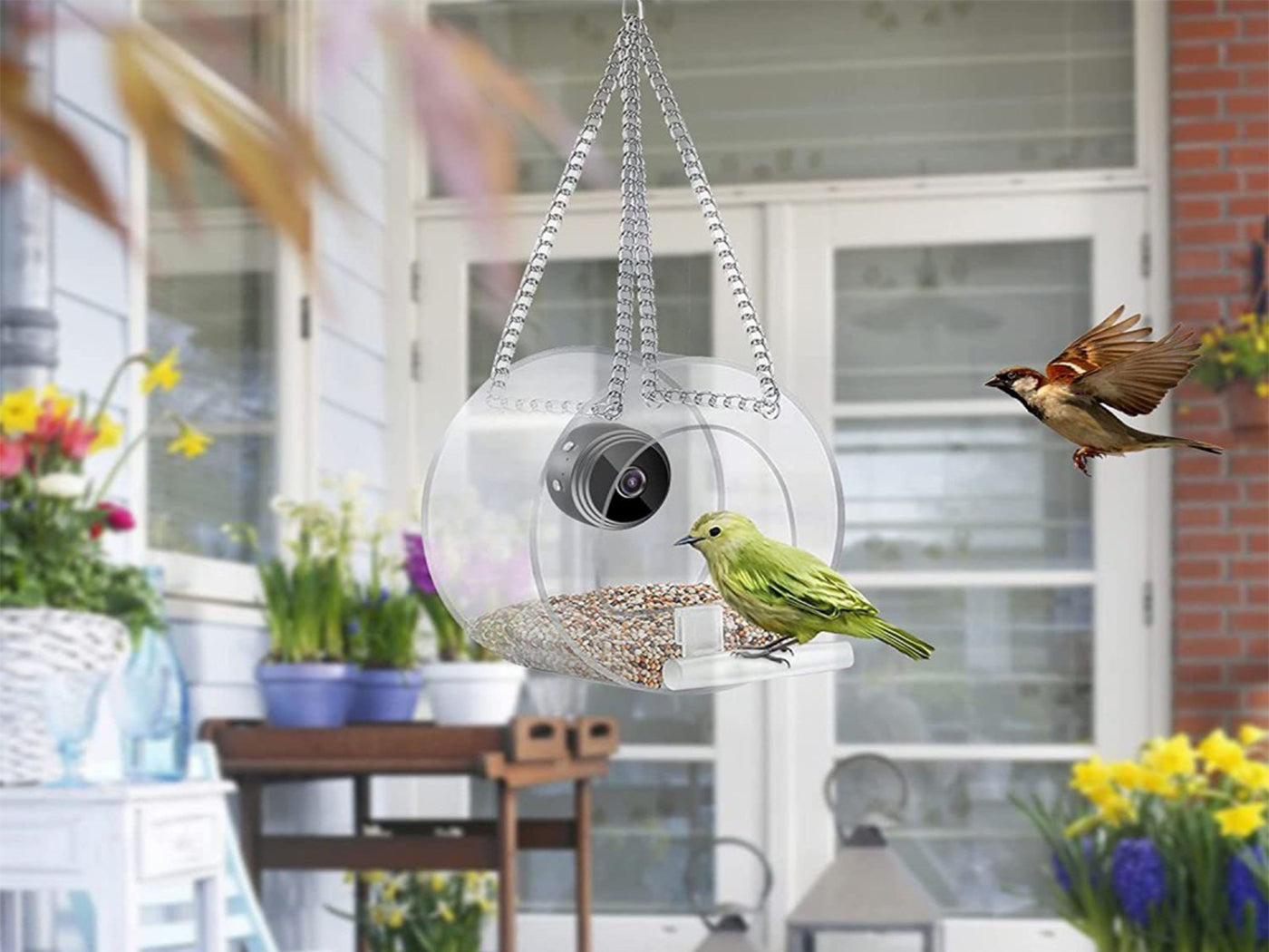 Smart WiFi Bird Feeder with 720P Camera for Real-Time Monitoring
