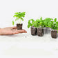 5Pcs Seed Trays 12 Cells Seed Starter Kit for Seeds Growing Starting