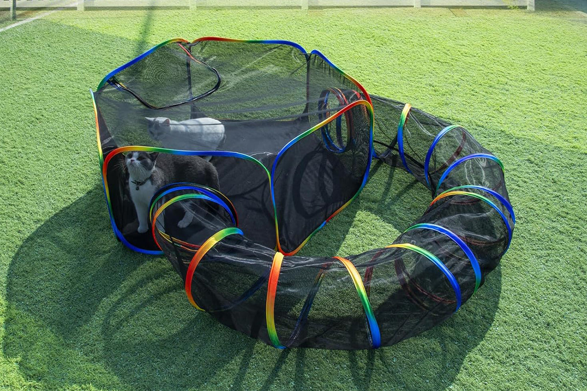 Outdoor Rainbow Cat Enclosures Playground Circle Cat Playpen Tunnel Catio Outside House For Cats