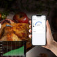 Wireless Digital Meat Thermometer for Grilling with iOS & Android Read App