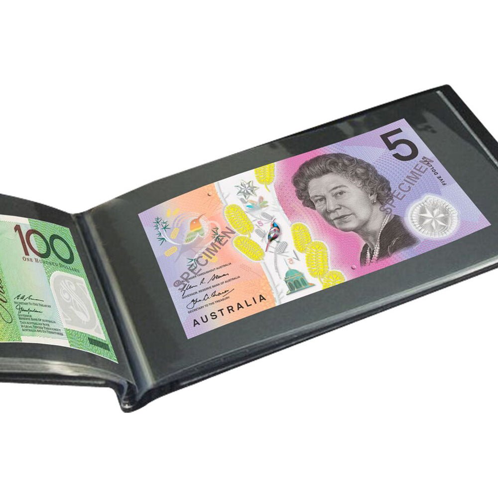 20 Sheets Banknote Stock Collection Currency Storage Album for Coin Paper Money