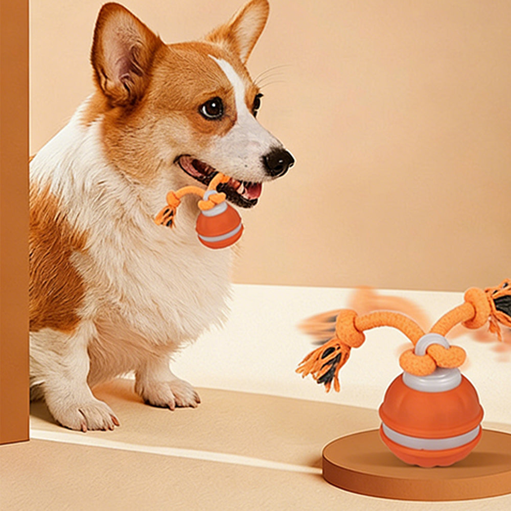 Motion Activated Interactive Dog Ball Toy