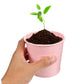 3Pcs Metal Herb Plant Pot with Tray and 10Pcs Mini Chalkboard Wooden Plant Tags Stakes
