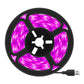 5M Growth Light Strip Water-resistant Full Spectrum Plant Light