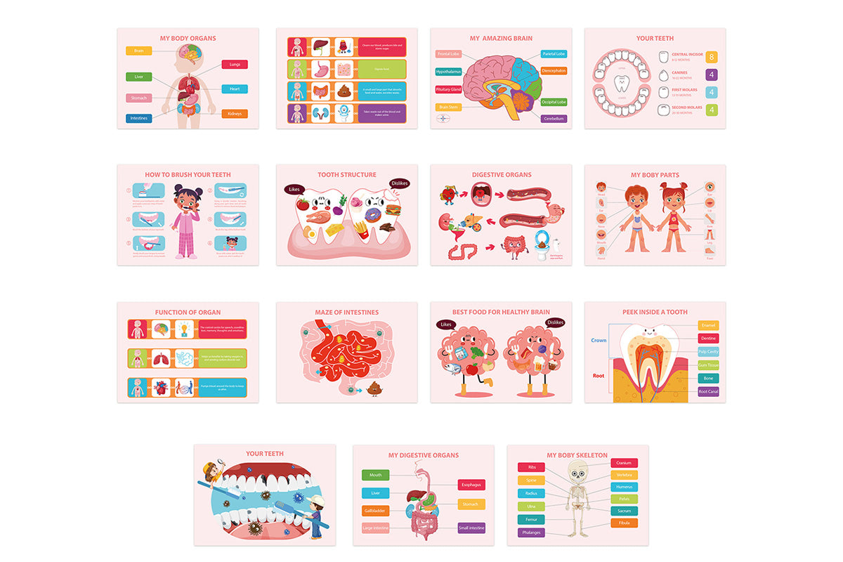 Montessori Busy Book Human Body Anatomy Book Learning Human Body Activities Book