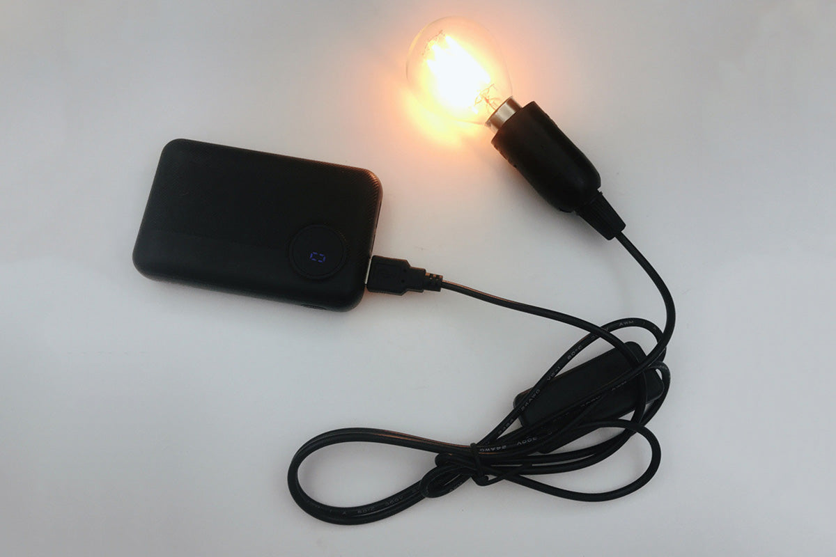 USB Crow Lamp Gothic Lamp Halloween Decor for Bedside Bedroom