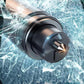 3 Pack Car Hammer Window Emergency Glass Breaker Escape Tool
