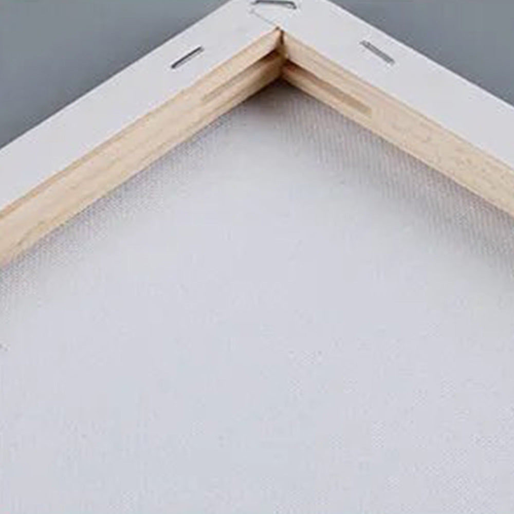 5 PCS Stretched Canvas for Painting Blank Art Stretched Canvas for Oil Acrylic Painting