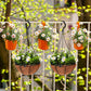 10 Pack Hanging Hooks for 18cm Pots Black