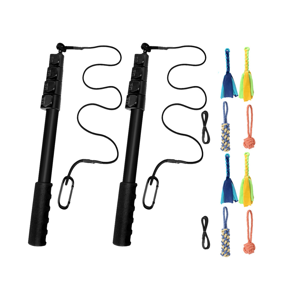 2Pcs Retractable Dog Teaser Wand Pet Interactive Toy Kit