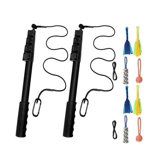 2Pcs Retractable Dog Teaser Wand Pet Interactive Toy Kit