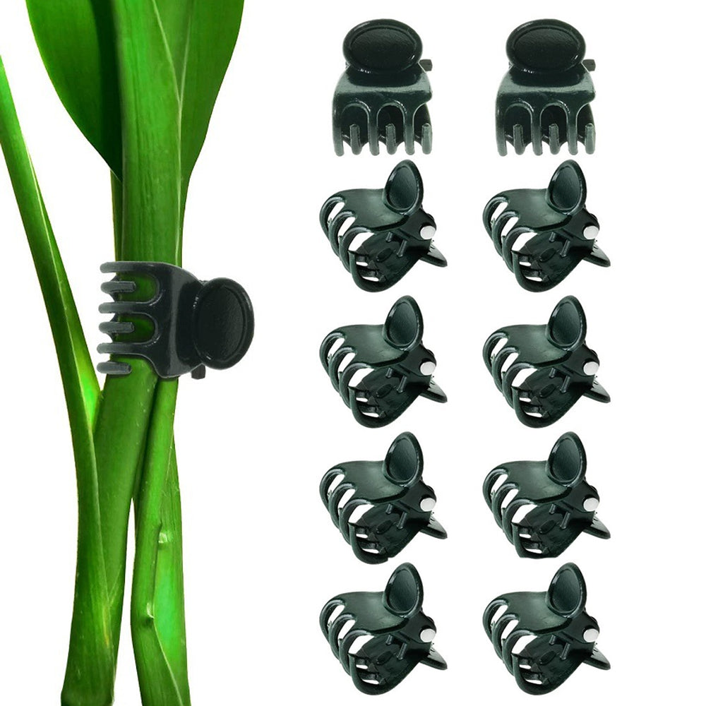 5Pcs Detachable Twig Plant Support Stakes