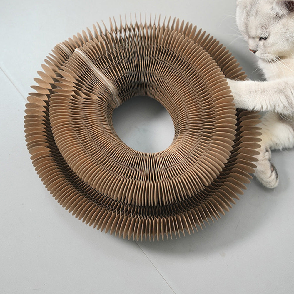 Magic Organ Cat Toy Foldable Reversible Infinity Style Cat Scratch Board