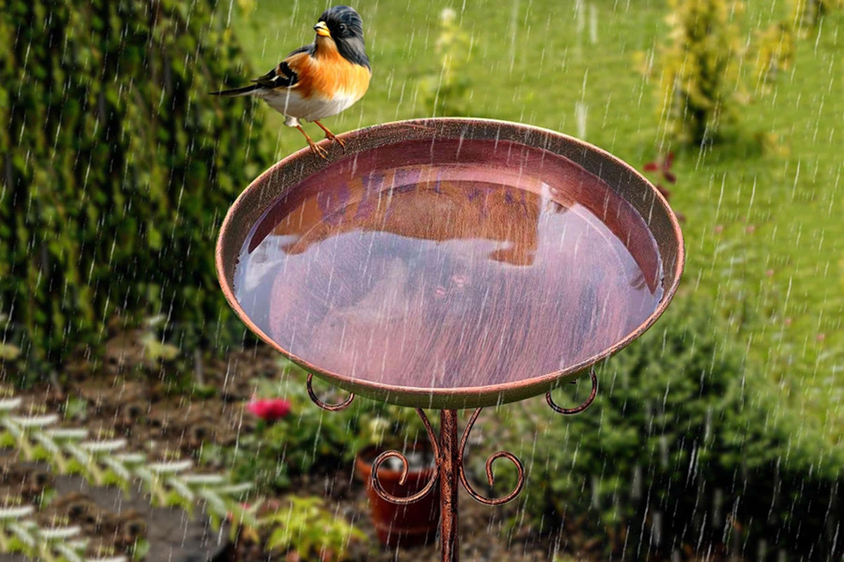 Vintage Metal Bird Bath & Feeder Bowl Weather-Resistant Garden Stand for Outdoor Yard Decor