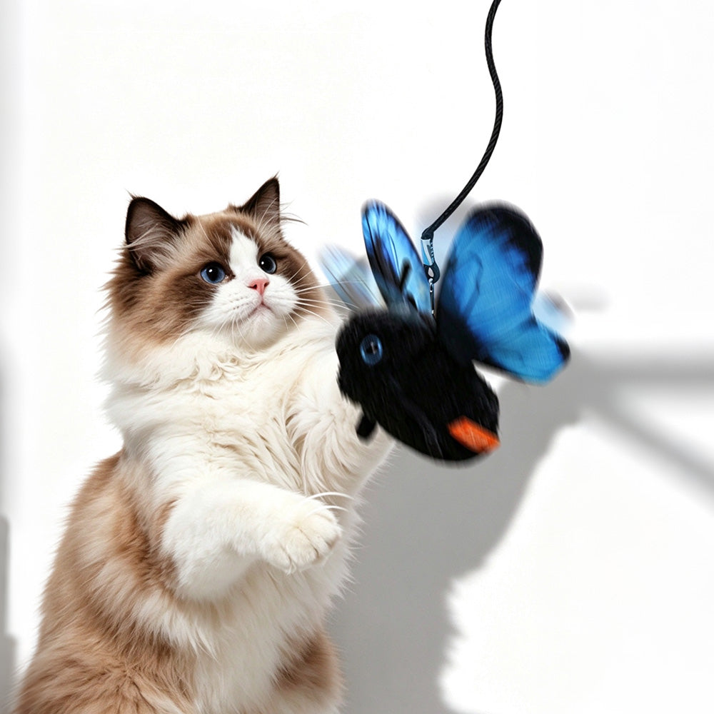 Electric Butterfly Cat Toy with Flapping Wings 3 Modes and Touch Activation