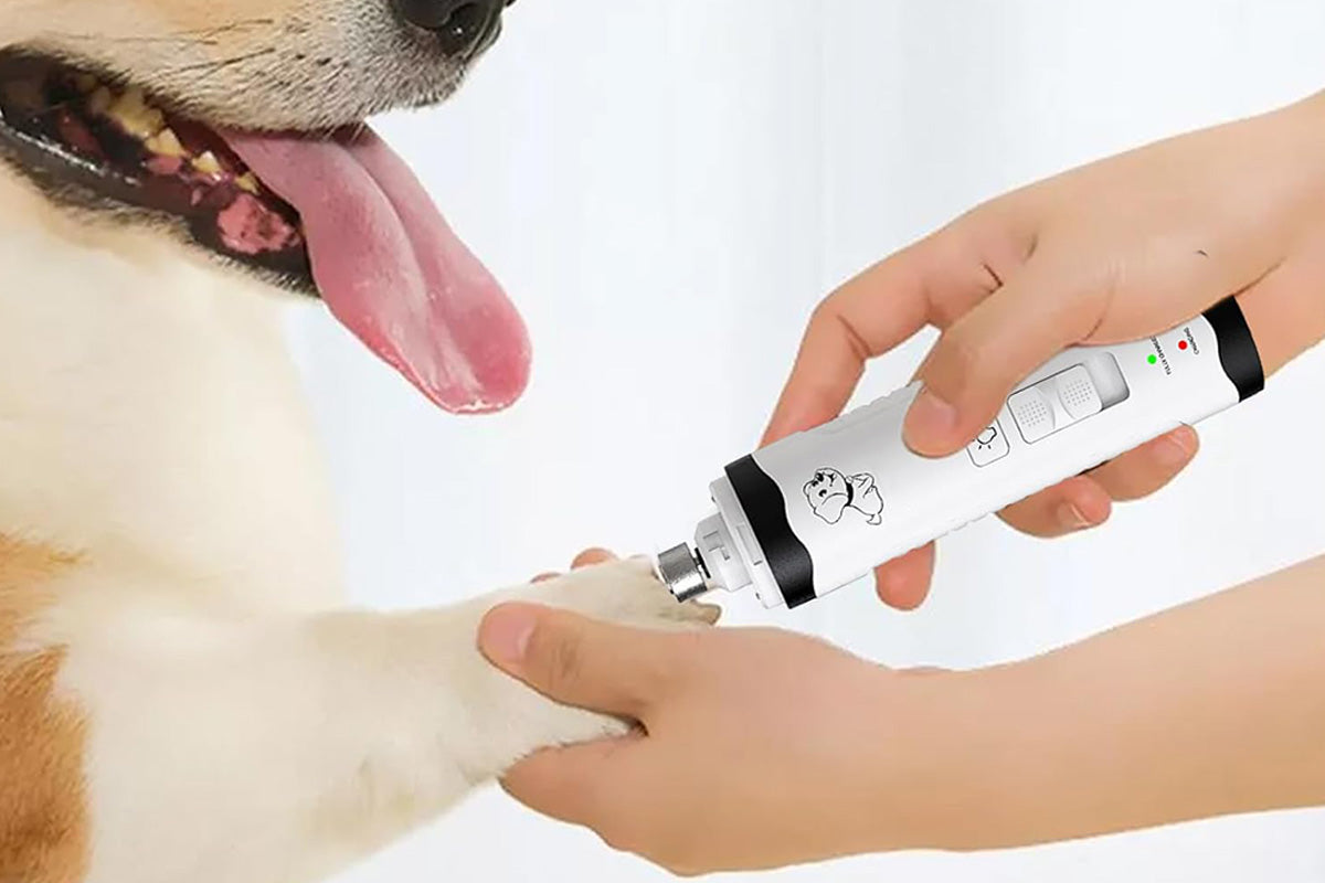 Dog Nail Grinder Electric Pet Nail Trimmer M3 Rechargeable Grooming Tool
