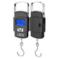 Portable LCD Digital Fishing Scale With Handle Hanging Weighing Scale Fishing Gear