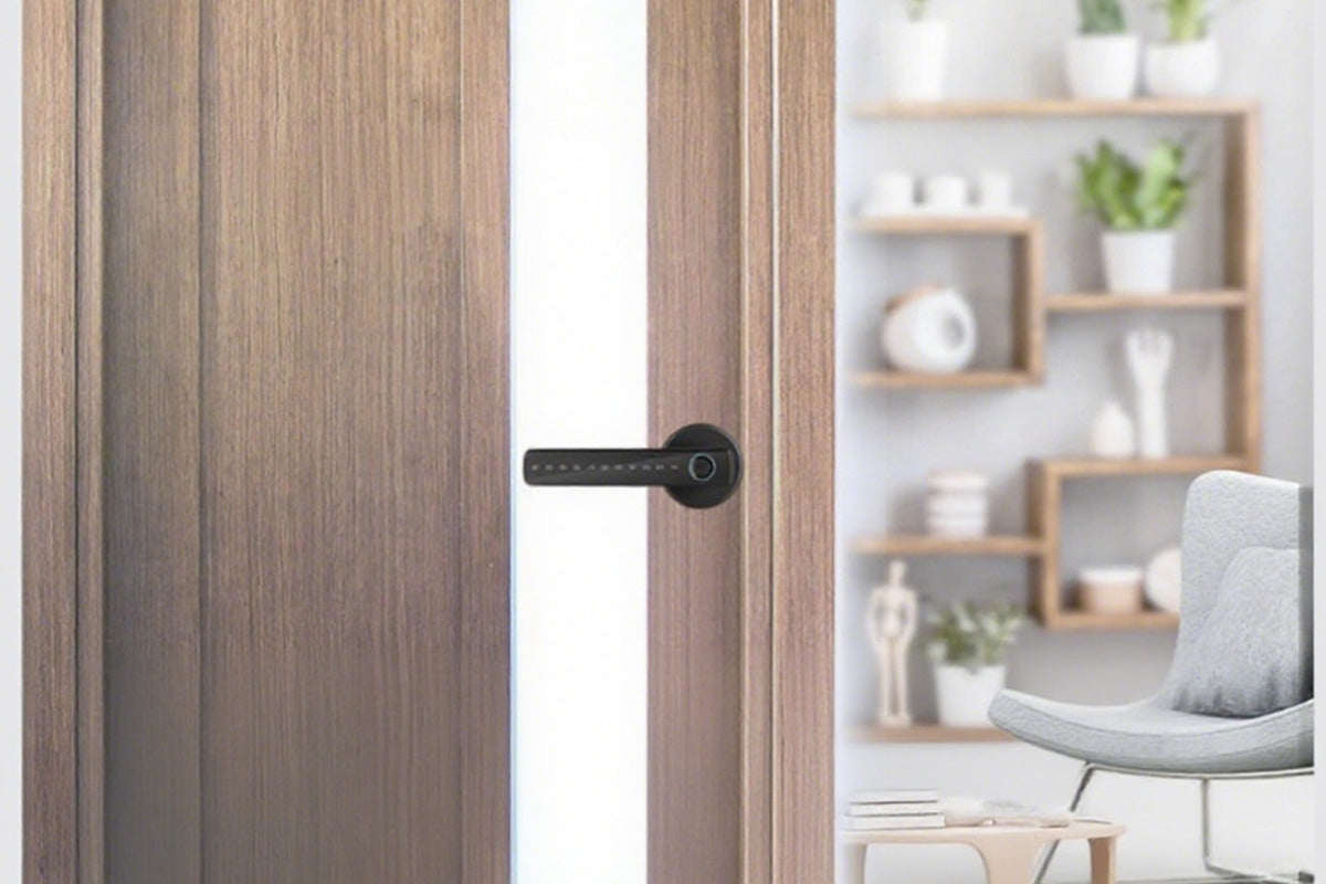 5 in 1 Smart Door Lock Fingerprint Door Knob with IC Cards and Backup Keys
