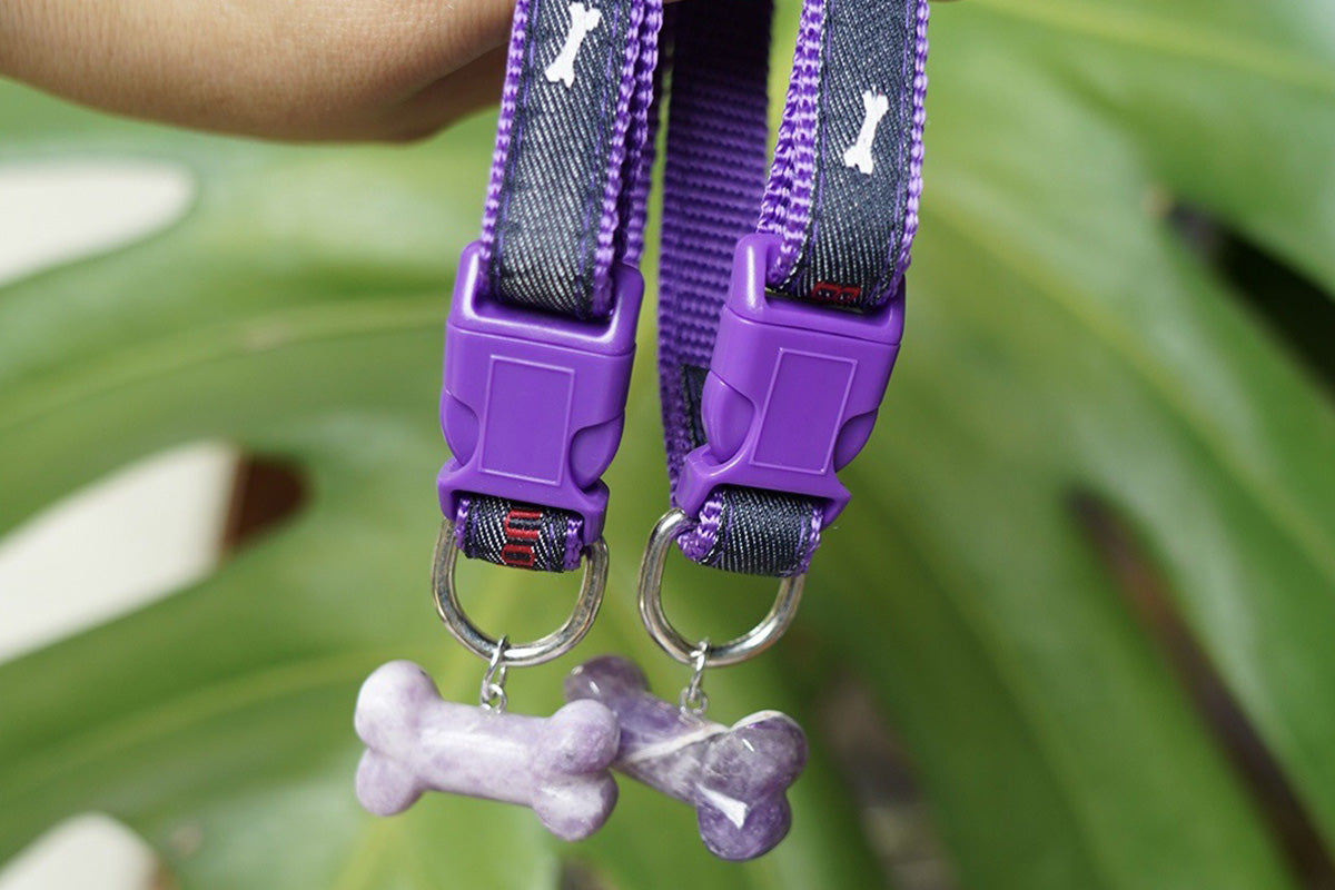 Adjustable Dog Collar with Bone Pendant Nylon Puppy Collar for Small Dogs