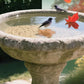Copper Bird Bath Cleaning Disc for Outdoor Garden Use