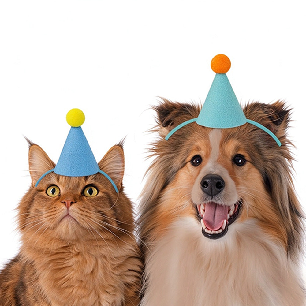 Pet and Plush Toy Birthday Party Hat with Adjustable Elastic Photo Prop