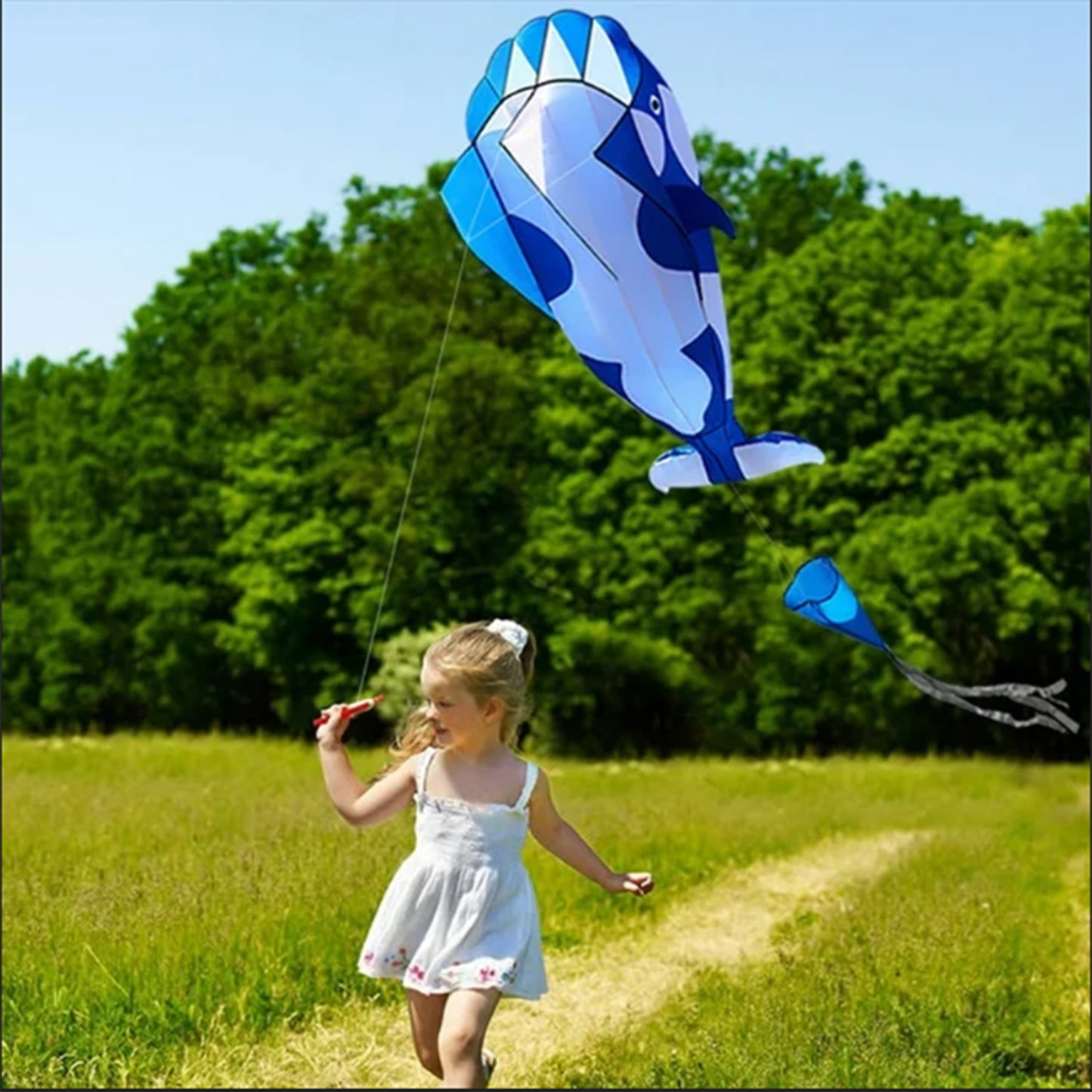 3D Soft Killer Whale Frameless Flying Kite Outdoor Sports Toy