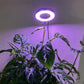 Grow Light for Indoor Plants with 20 LED Full Spectrum and Adjustable Brightness