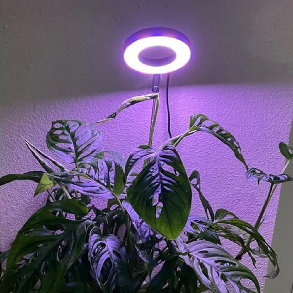 Grow Light for Indoor Plants with 20 LED Full Spectrum and Adjustable Brightness