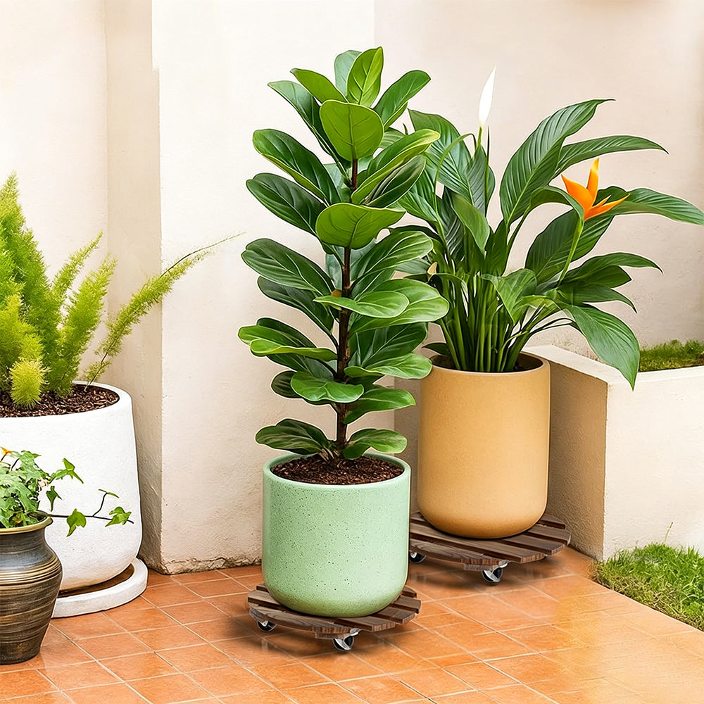 2 Pack Plant Stand Plant Caddy with 360 Degree Lockable Wheels