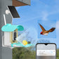 Smart Bird Feeder with Camera AI Identify 10000+ Birds Solar Powered Outdoor Live View for Bird Lovers