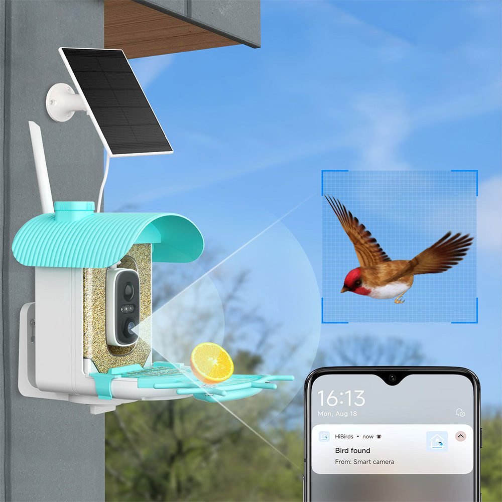 Smart Bird Feeder with Camera AI Identify 10000+ Birds Solar Powered Outdoor Live View for Bird Lovers