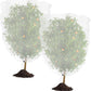 Drawstring Fruit Tree Netting Cover Fine Mesh Bird Fruit Fly Insect Protection for Garden Potted Plant Fruit Trees