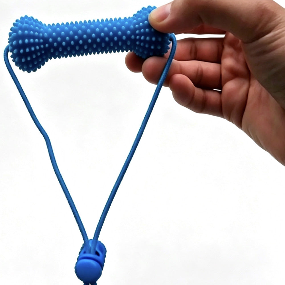 Durable Rubber Bone Dog Chew Toy with 2 Toothbrushes for Training & Solo Play