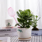 4Pcs Tulip Model Plant Watering Globes for Flower Automatic Watering