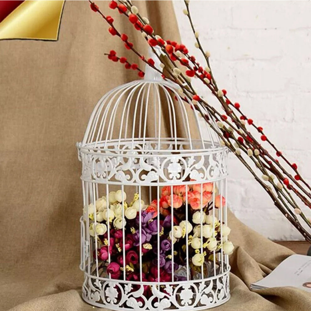Iron Wire Birdcage Shape Succulent Plant Pot Hanging Frame