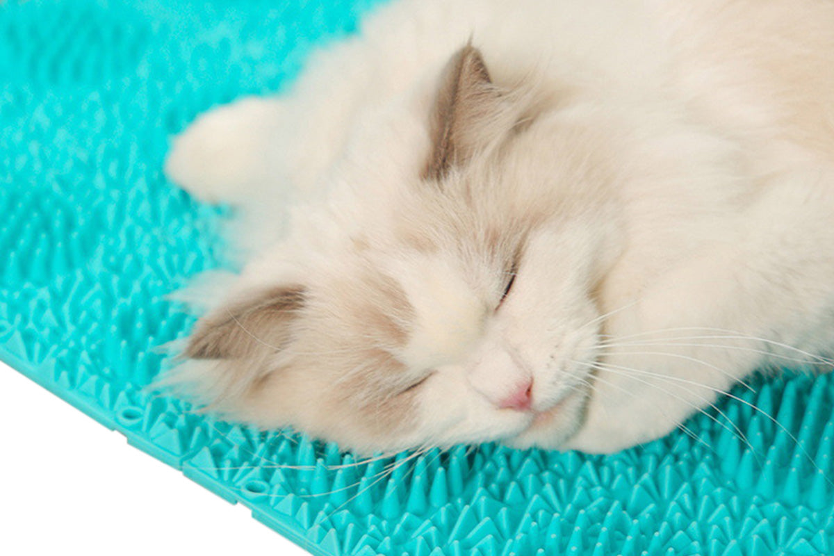 Cat Self Grooming Mat Itching Mat Self Massage Pad for Floor