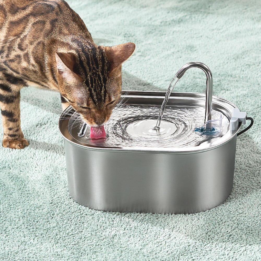Electric Pet Water Dispenser Cat Dog Fountain 3L Drinking Automatic Sensor