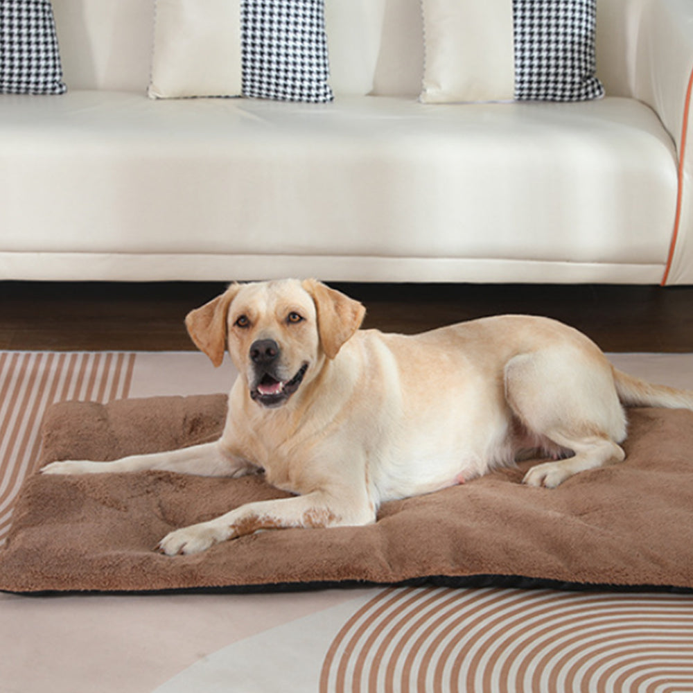 Self-Heating Pet Blanket