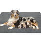 Coral Fleece Washable Dog Mat Non Slip Reusable Pee Pad for Pets