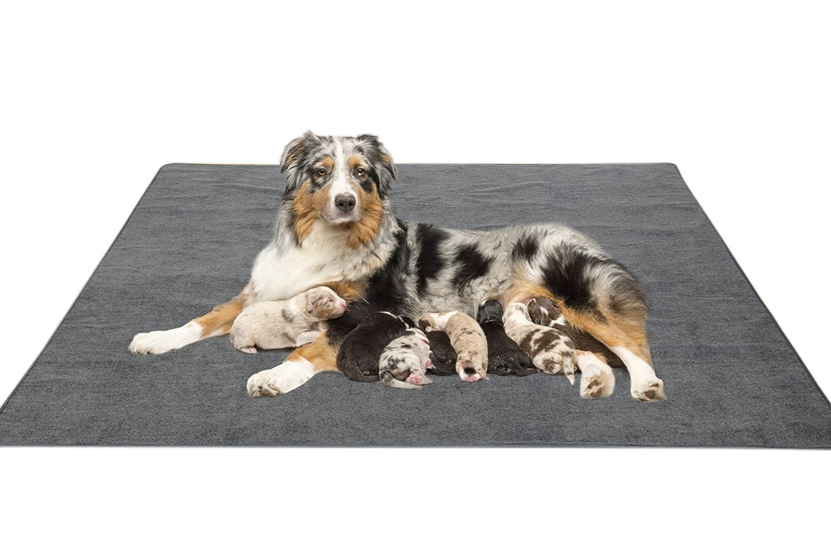 Coral Fleece Washable Dog Mat Non Slip Reusable Pee Pad for Pets