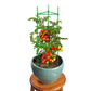 Tomato Cage Stake Arms Plant Stem Support for Garden