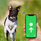 AirTag Dog Collar Reflective Pet Collar with Airtag Holder
